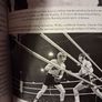 In Sunshine or in Shadow/ How Boxing brought Hope in The Troubles / Donald McRae / 2019 Image 6