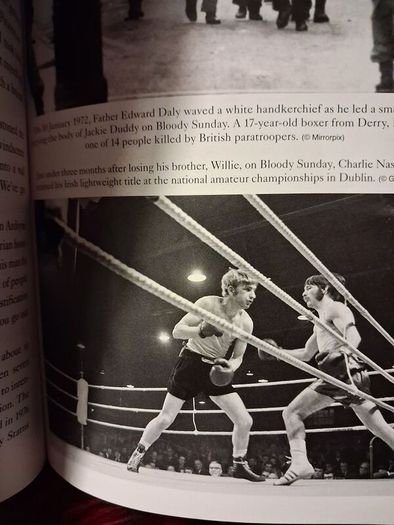 In Sunshine or in Shadow/ How Boxing brought Hope in The Troubles / Donald McRae / 2019