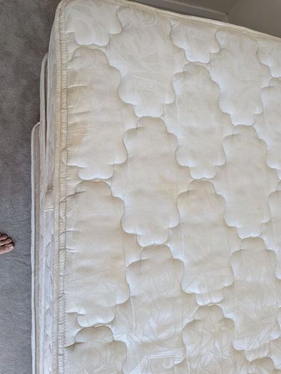 trundle bed