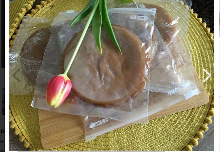 Scoby. Kombucha