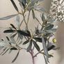 Faux Olive tree in pot Image 3
