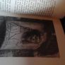 In The Pillory The Borgia Pope (out of print book) Image 3