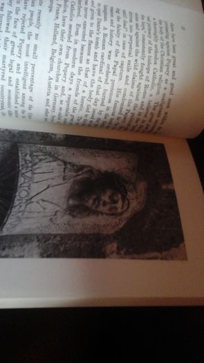 In The Pillory The Borgia Pope (out of print book)