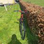 bike Image 5