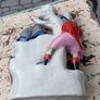 Staffordshire Flatback Image 9