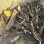 FREE Firewood Image 2