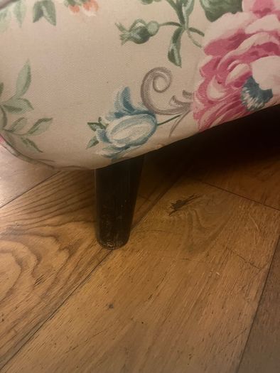 Floral Chaise Longue