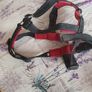 Dog harness Image 2