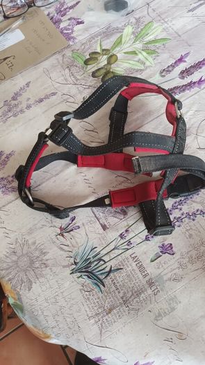 Dog harness