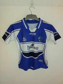 laois gaa jersey