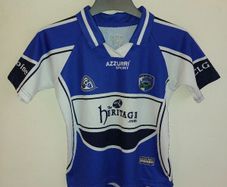 laois gaa jersey