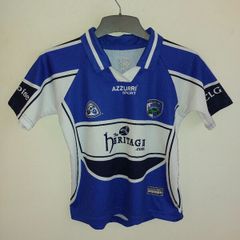 laois gaa jersey
