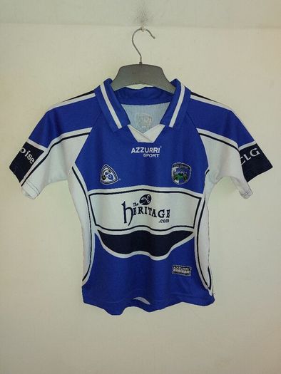 laois gaa jersey