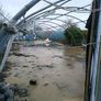 Mushroom sheds Image 5