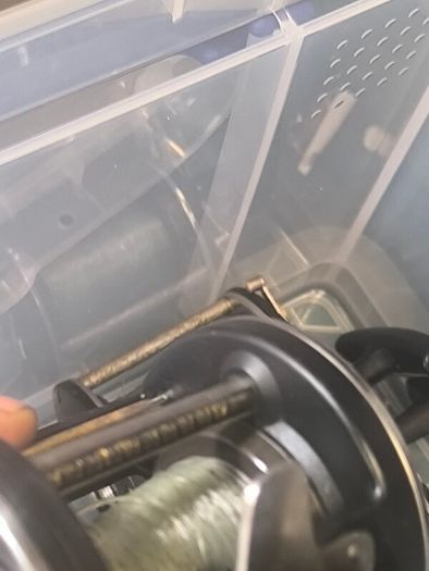 boat multiplier reels Penn Daiwa ocean city and others used