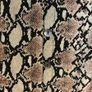 Statement Snakeskin Blouse Pluss Collection, Size 2XL Image 3