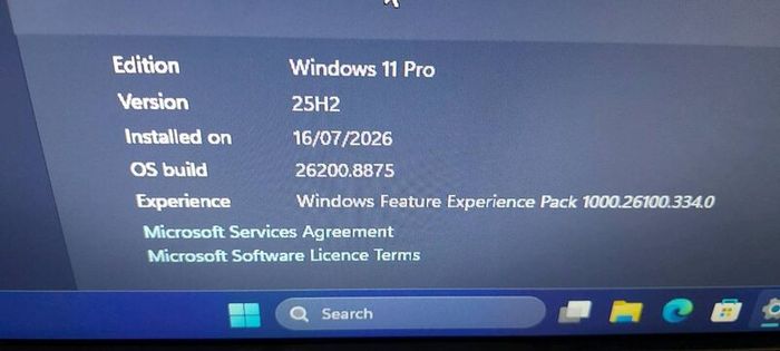 Windows 11 Latest Pc and Screen Hp