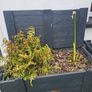 large planter box Image 6