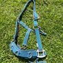 Assorted Horse equipment Image 7