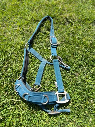 Assorted Horse equipment