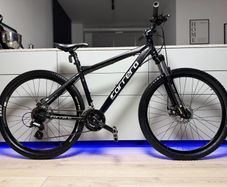 Carrera Vengeance Bike