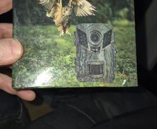 trail camera