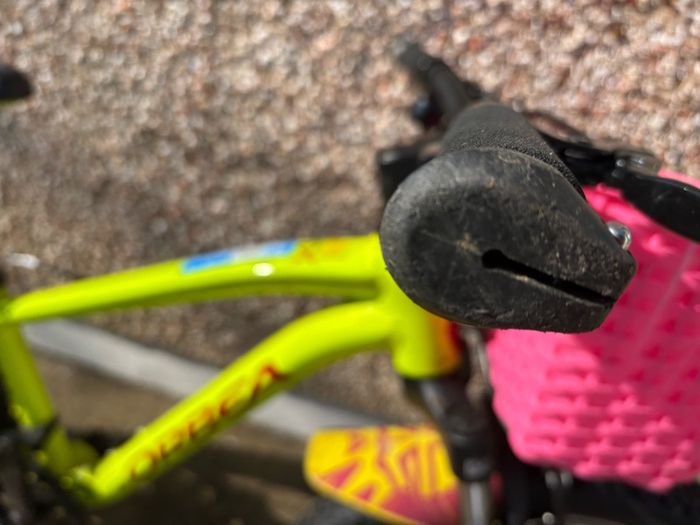 Orbea mountain bike