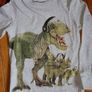 Age 7 NEXT Dinosaur Top Image 2
