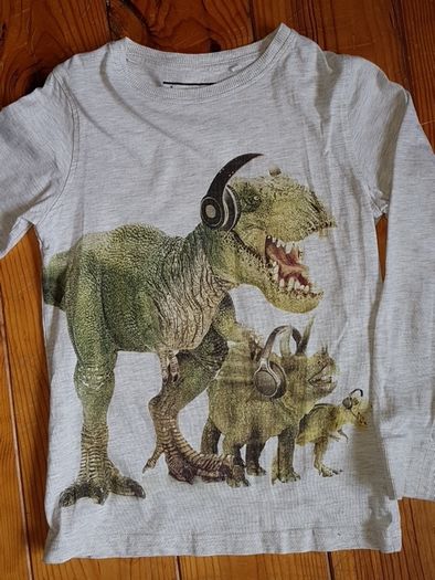 Age 7 NEXT Dinosaur Top