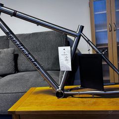 Van Nicholas Titanium Pioneer Frame 47