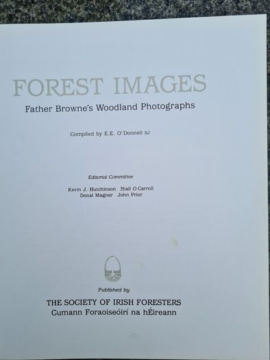 FOREST IMAGES. Fr Browns Woodland Photographs From Emo Court In Co Laois Over 20 Years.