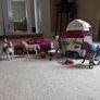Schleich Horse Club sets Image 6