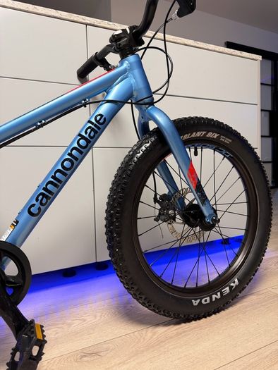 Cannondale Cujo Disc Kids Bike 20 inch