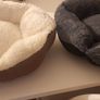 cat/ kitten beds or small puppy /dog Image 4