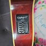 Gibson Epiphone PR 6E Image 3