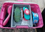 Horse grooming kit