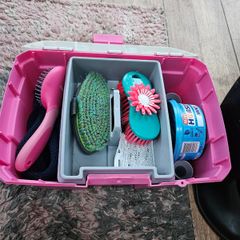Horse grooming kit