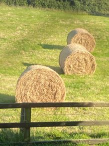 ALL GONE. .   Fresh Round Hay Bales