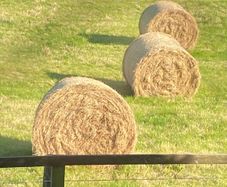 ALL GONE. .   Fresh Round Hay Bales