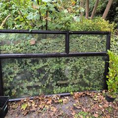 window black