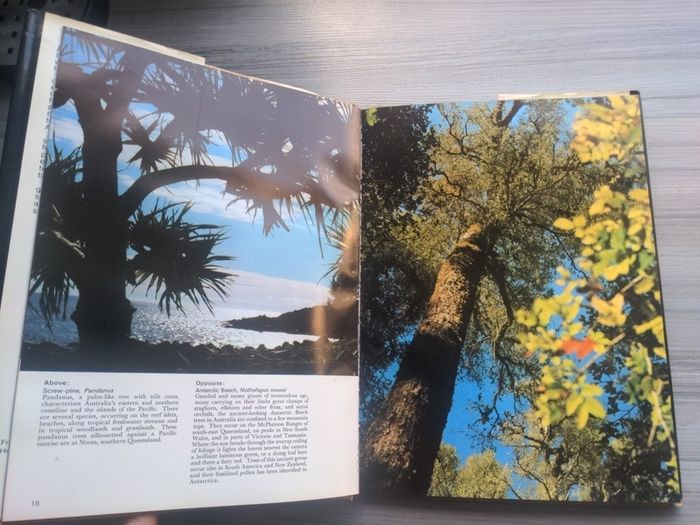 The Nature of Australia Michael Morcombe