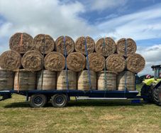 300 Round bales of Hay