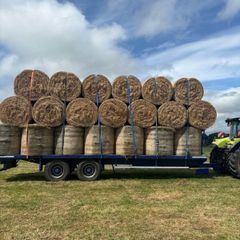 300 Round bales of Hay