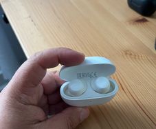 Earphones