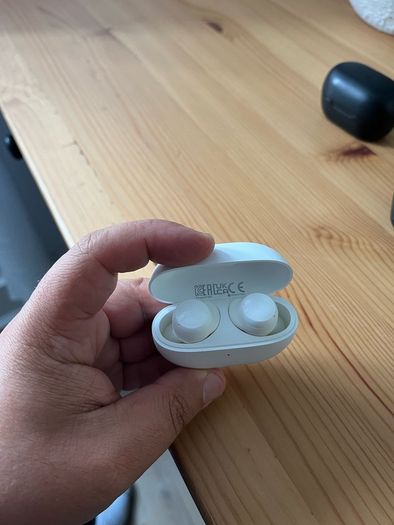 Earphones