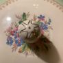 Rare Vintage Meakin Sol Image 3