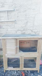 Rabbit hutch