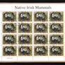 2002 Ireland Native Irish Mammals (41c Badger, 50c Otter, 57c Red Squirrel & E1 Hedgehog) Commemorative Stamp Sheetlet Fine Used with Dublin CDS cancel of 23rd April 2002 (Frist day of issued) on envelope extract. Image 2
