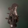bass Image 2