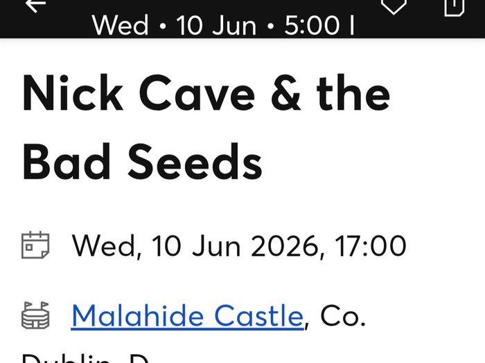 Nick Cave concert - front